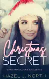 Christmas Secret synopsis, comments