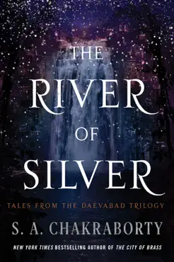 the river of silver book cover image