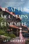 What the Mountains Remember synopsis, comments