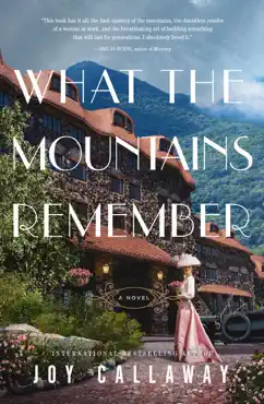 what the mountains remember book cover image