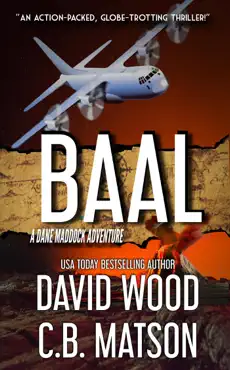 baal book cover image