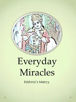 everyday miracles book cover image