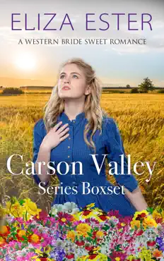 carson valley series boxset book cover image
