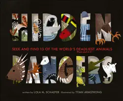 hidden dangers book cover image