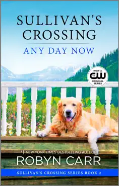 any day now book cover image