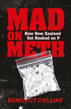 mad on meth book cover image