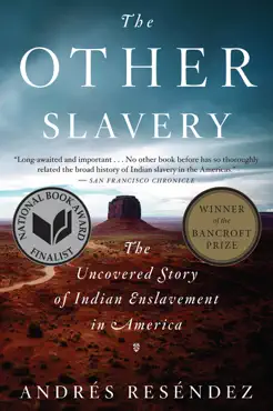 the other slavery book cover image