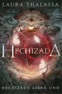hechizada book cover image