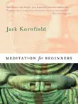 Meditation for Beginners sinopsis y comentarios