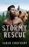 Stormy Rescue synopsis, comments