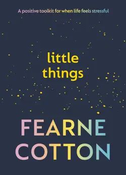 little things book cover image