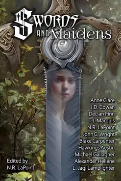 swords and maidens book cover image