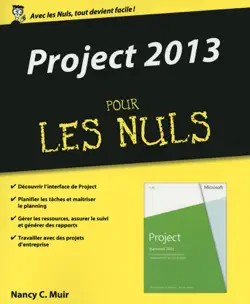 project 2013 pour les nuls book cover image