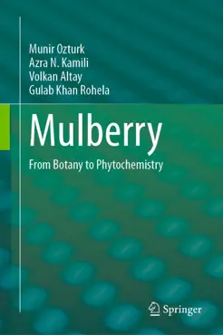 mulberry imagen de la portada del libro