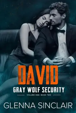 david book cover image