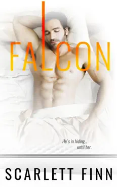 falcon book cover image