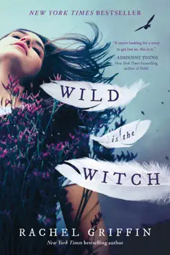 wild is the witch book cover image