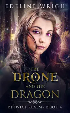 the drone and the dragon imagen de la portada del libro