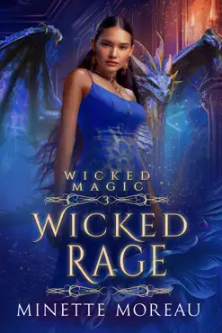 wicked rage book cover image