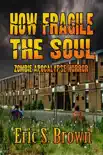 How Fragile The Soul synopsis, comments