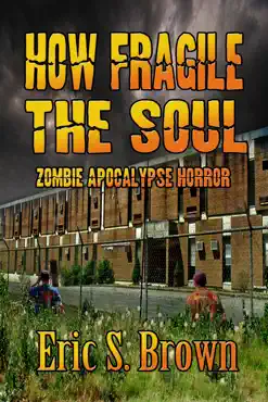 how fragile the soul book cover image
