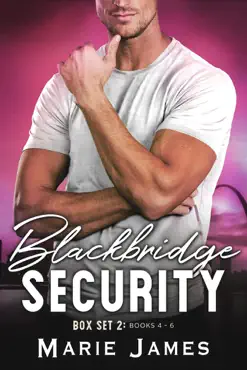 blackbridge security box set 2 book cover image