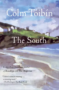 the south book cover image
