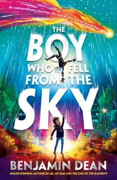 the boy who fell from the sky imagen de la portada del libro