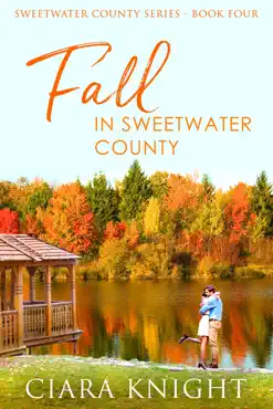 fall in sweetwater county book cover image