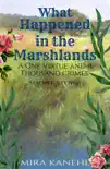 What Happened in the Marshlands synopsis, comments