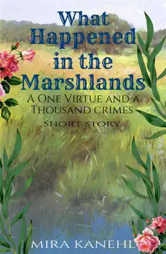 what happened in the marshlands book cover image