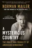 A Mysterious Country synopsis, comments