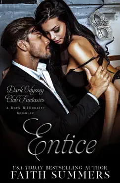 entice book cover image