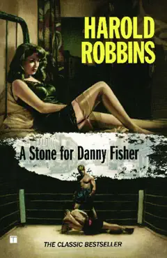 a stone for danny fisher book cover image