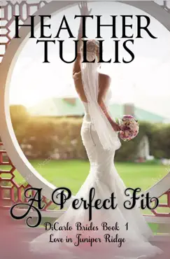 a perfect fit book cover image