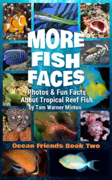 more fish faces book cover image