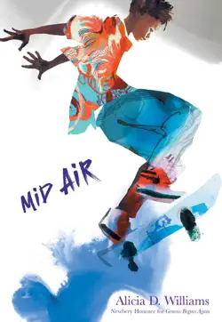 mid-air book cover image