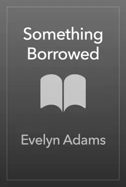 something borrowed book cover image