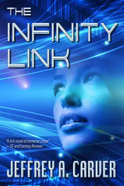 the infinity link book cover image