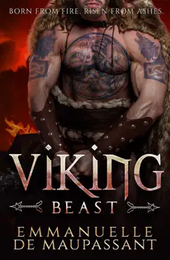 viking beast book cover image
