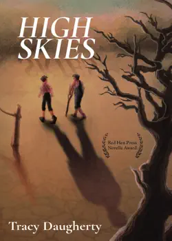 high skies book cover image
