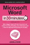 Microsoft Word In 30 Minutes synopsis, comments