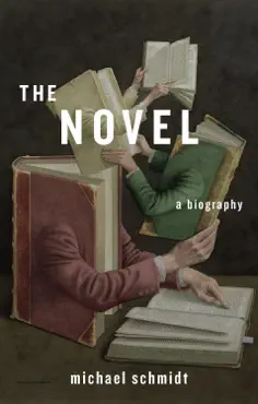 the novel book cover image