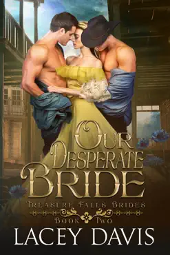 our desperate bride book cover image
