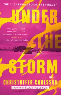 under the storm imagen de la portada del libro
