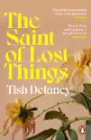 The Saint of Lost Things sinopsis y comentarios