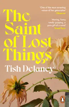 the saint of lost things imagen de la portada del libro
