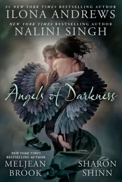 angels of darkness book cover image