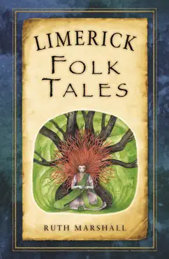 limerick folk tales book cover image