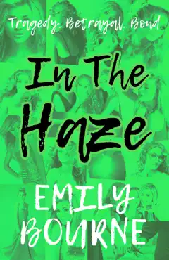 in the haze book cover image